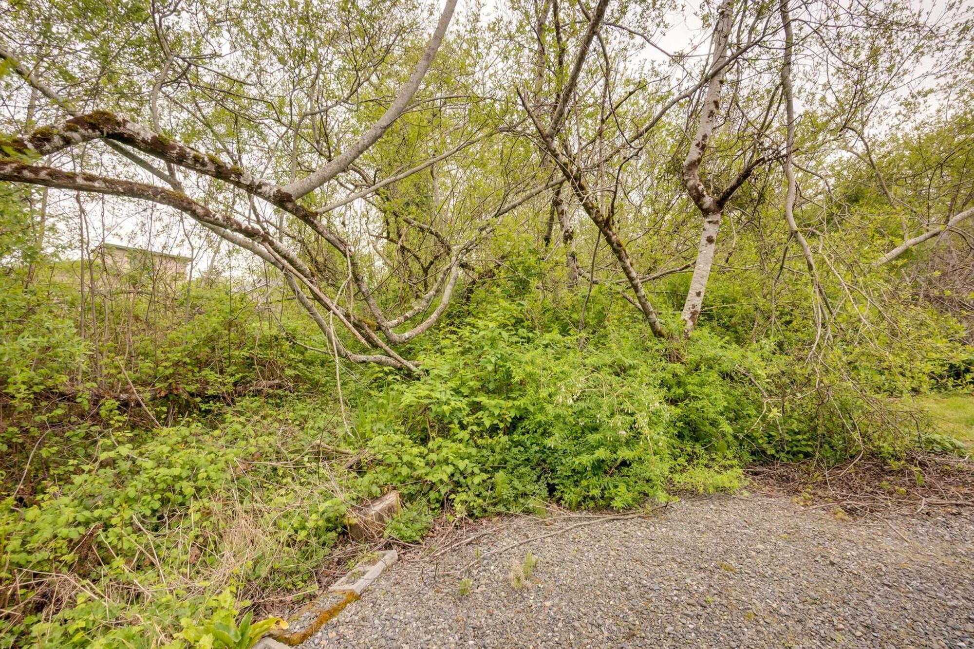 Soothing Studio With Lush Views 2 Mi To Beach! Smith River エクステリア 写真